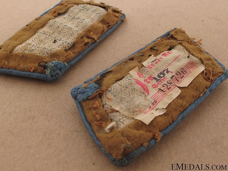 NSDAP Amtsleiter Type II Ort Level Collar Tabs Reverse