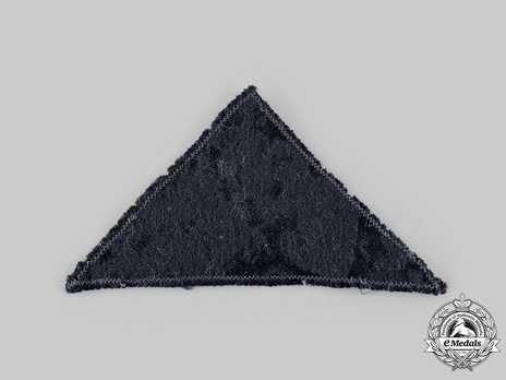 German Red Cross Enlisted Ranks Member Sleeve Eagle Insignia Reverse