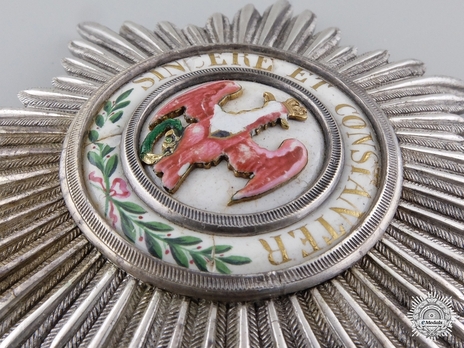 Order of the Red Eagle, Type III, I Class Breast Star (without coat of arms) Obverse