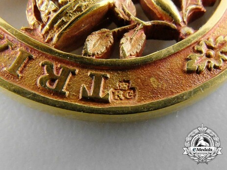 Companion (with gold) Reverse Detail