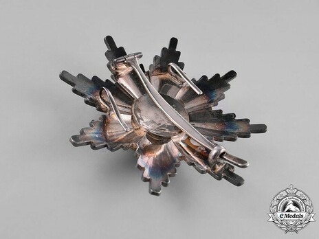 Order of the Star of Karageorg, Military Division, I Class Breast Star Reverse