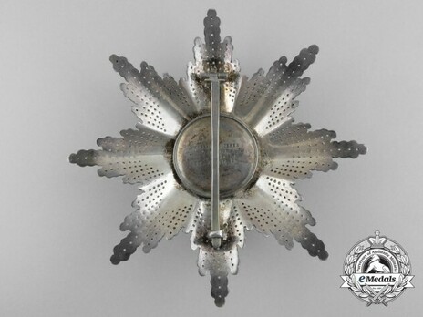Grand Silver Breast Star Reverse