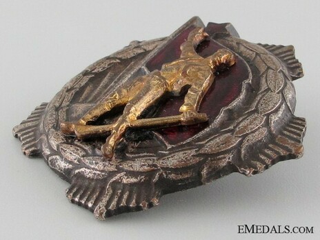 Medal for Remembrance, Type II, Large Badge (in Silver gilt) Obverse