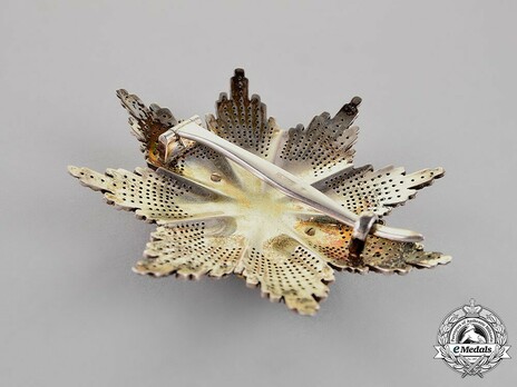 Order of Saint Sava, Type III, II Class Breast Star Reverse