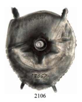 Order of the Red Banner of the RSFSR, Type II (in silver) Reverse