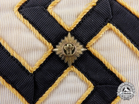 NSDAP Ortsgruppenleiter Type II Ort Level Armband Detail