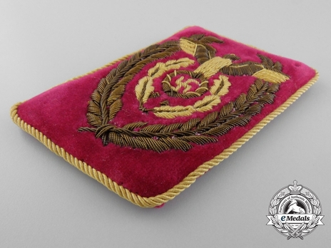 NSDAP Reichsleiter Type IV Reich Level Collar Tabs Obverse