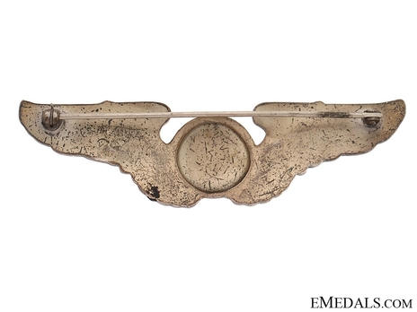 Basic Wings (with silvered bronze) Reverse