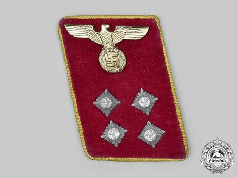 NSDAP Gemeinschaftsleiter Type IV Reich Level Collar Tabs Obverse