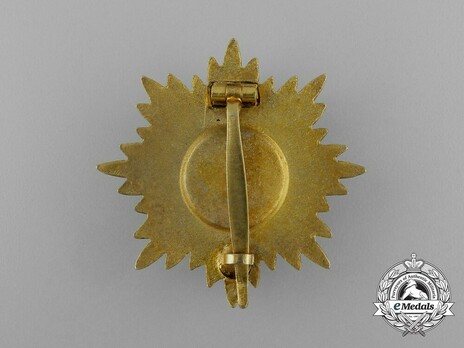 I Class in Gold Reverse