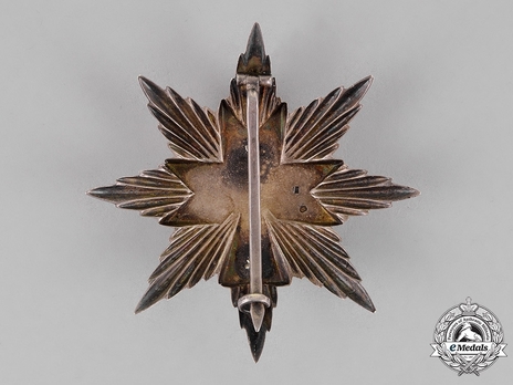 I Class Breast Star Reverse