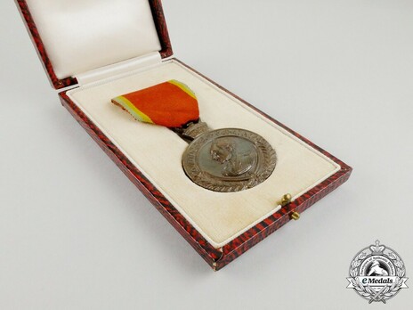 Medal of Patriots of the Interior Case of Issue