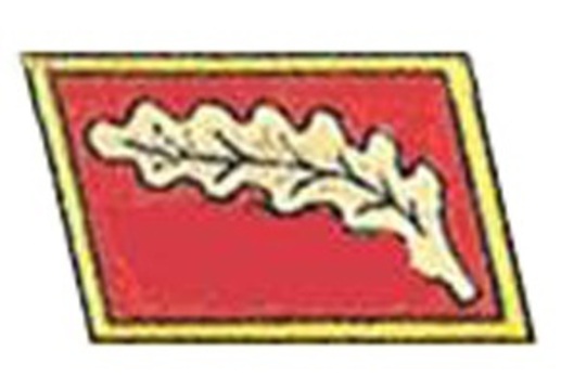NSDAP Dienstleiter Type III Reich Level Collar Tabs Obverse