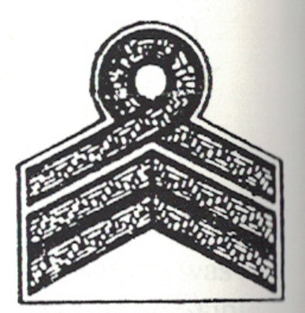 RAD Generalarbeitsführer Sleeve Rank Insignia Obverse