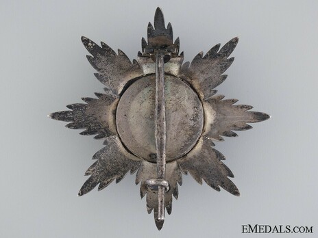 Order of Philip the Magnanimous, Type II, Grand Cross Breast Star (in gold) Reverse