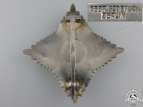 Cross of Honour of the German Red Cross, Type III, Grand Cross Breast Star Reverse
