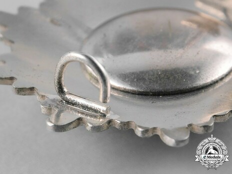 Order of Good Workmanship Reverse Detail