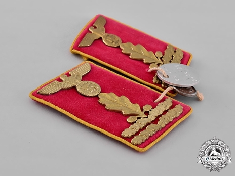NSDAP Haupt-Abschnittsleiter Type IV Reich Level Collar Tabs Obverse