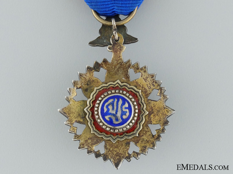 Knight Member (V Class) Reverse