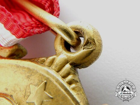 Order of Hero of Socialist Labour Obverse Detail