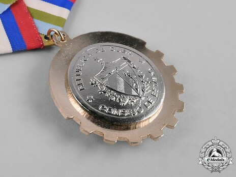 Order of Playa Giron, Type II Reverse