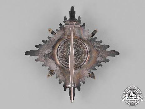 Albert Order, Type II, Military Division, I Class Commander Breast Star (in silver gilt) Reverse