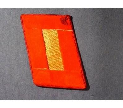 NSDAP Sonderbeauftragter Type IV Gau Level Collar Tabs Reverse