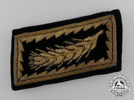 RAD 3rd Pattern Reichsarbeitsführer - Generalarbeitsführer Collar Tabs Obverse