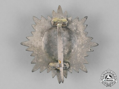 I Class in Silver Reverse