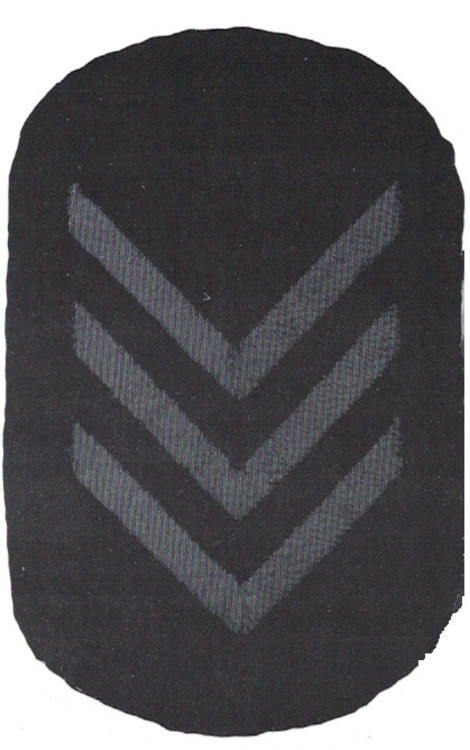 C+level+obverse