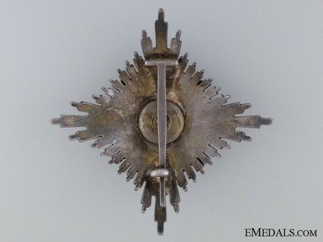 Order of Military Merit, II Class Breast Star Reverse