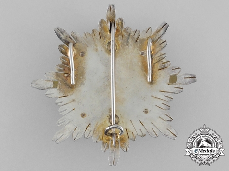 2nd Class Breast Star (white distinction) (with coat of arms of Castile and Leon, and Royal Crown) (1975-2014) Reverse