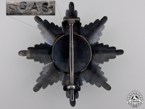 Order of St. Alexander, Type III, II Class Breast Star Reverse