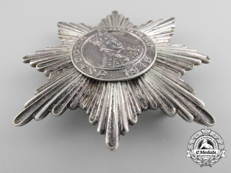 Order of Queen Tamara, III Class Star Obverse
