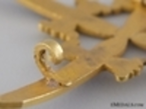 I Class Star for field uniform Reverse