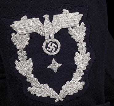 Diplomatic Corps Pay Groups B5 & B6 Career Group Sleeve Insignia Obverse