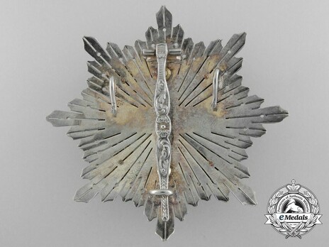 2nd Class Breast Star (white distinction) (with coat of arms of Castile and Leon, and Royal Crown) (1975-2014) Reverse