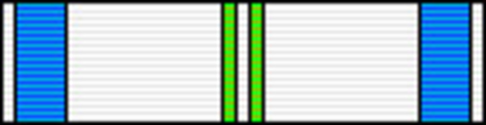 Promotion of culture ribbon5