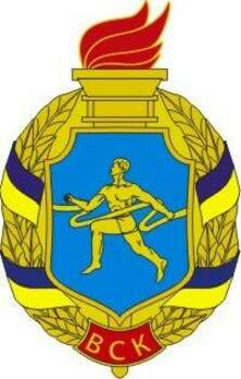 Warrior Athlete Badge Obverse