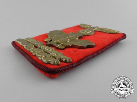 NSDAP Haupt-Dienstleiter Type IV Gau Level Collar Tabs Obverse