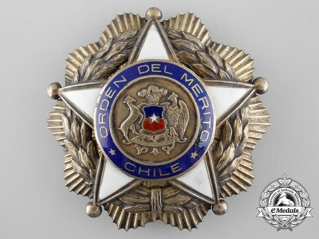 Order of Merit, Type V, Grand Officer Breast Star Obverse