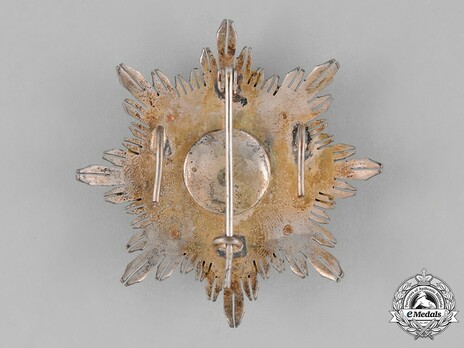 2nd Class Breast Star (red distincion) (with coat of arms of Castile and Leon, and Imperial Crown) (Silver and Silver gilt) Reverse
