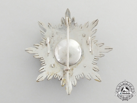 2nd Class Breast Star (red distinction) Reverse