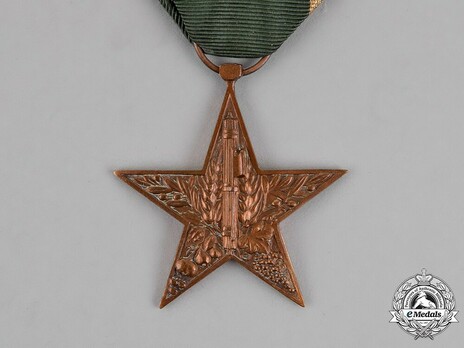 Star of Rural Merit, in Bronze Obverse