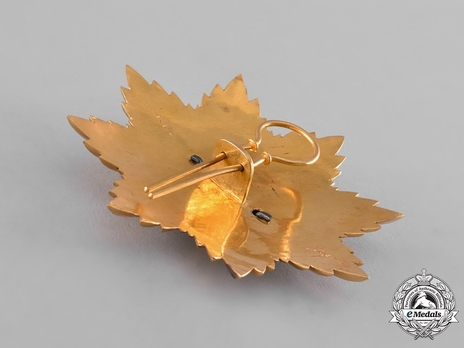  Order of the Star (Nishan-i-Astour), Type II, I Class Reverse