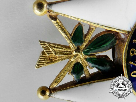 Officer (Gold) Details