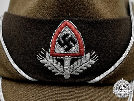 RAD Officer's Cloth Cap Insignia Detail