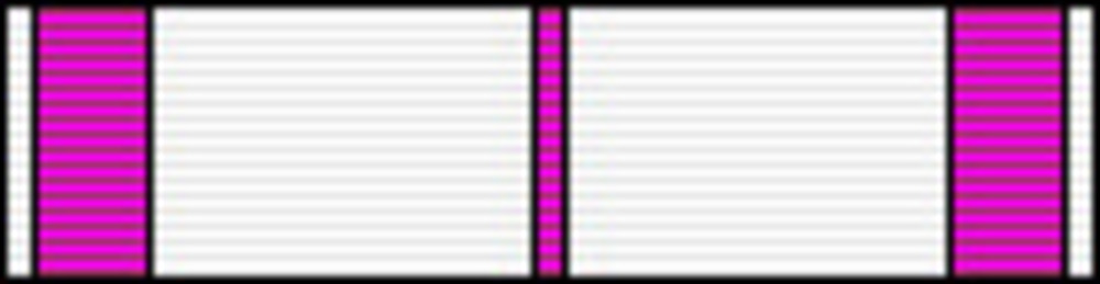 Literature ribbon4