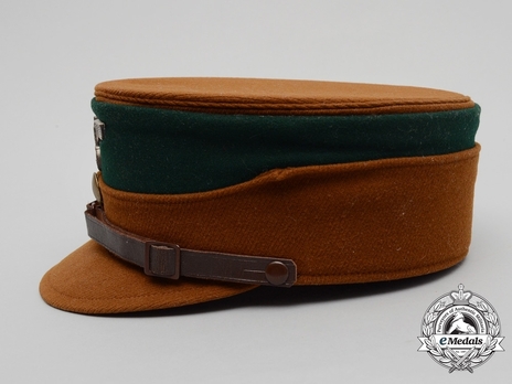 SA Kepi 3rd Form for Enlisted Ranks (steel-green version) Left