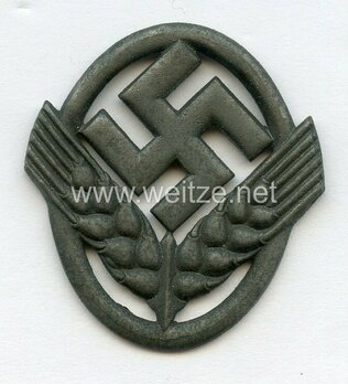 RADwJ Cap Insignia (iron version) Obverse